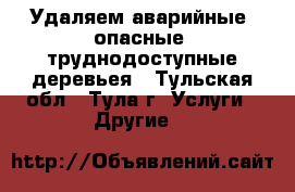 Удаляем аварийные, опасные, труднодоступные деревьея - Тульская обл., Тула г. Услуги » Другие   